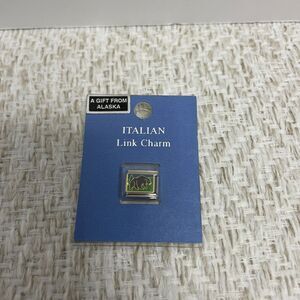 Italian Link Charm Brown Bear Alaska NIP